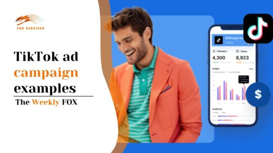 TikTok ad campaign examples