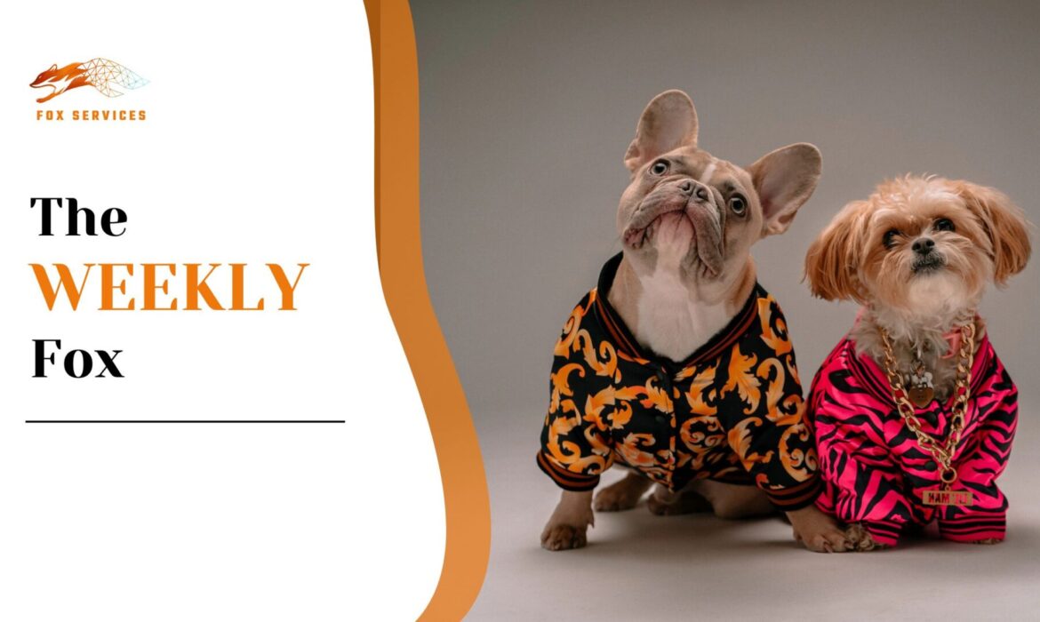 Amazon pet accessories 2025
